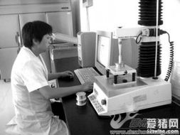 谷神生物 創新驅動發展，技術與產品動態全面解析