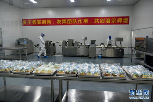 西藏洛隆 以青稞深加工技術(shù)開發(fā)，鋪就高原特色產(chǎn)業(yè)增收路